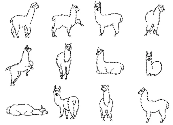 Vector set tekens. Illustratie van Zuid-Amerika schattig lama met decoraties. Geïsoleerde overzicht cartoon baby lama. Hand getekend Peru dierlijke guanaco, alpaca, Vicuña. Tekening voor afdrukken, weefsel. — Stockvector