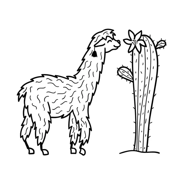 Векторная иллюстрация симпатичного южноамериканского ламы с украшениями. Изолированный контур мультяшной ламы. Ручное рисование перуанских животных гуанако, альпака, викуна. Рисунок для печати, ткани . — стоковый вектор
