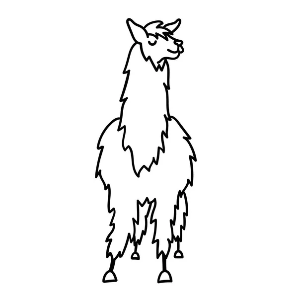 Illustrazione vettoriale di simpatico personaggio lama sudamericano con decorazioni. Isolato contorno cartone animato baby lama. Guanaco animale Perù disegnato a mano, alpaca, vicuna. Disegno per stampa, tessuto . — Vettoriale Stock