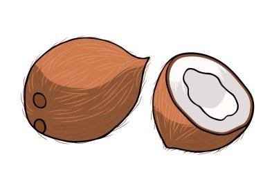 Sulu izole anahat renkli meyve vektör çizim