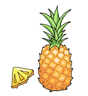 Sulu izole anahat renkli meyve vektör çizim