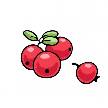 Sulu izole anahat renkli meyve vektör çizim