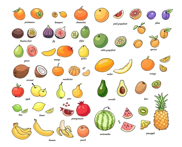 Vektorillustration av saftiga isolerade disposition färgglada frukt — Stock vektor