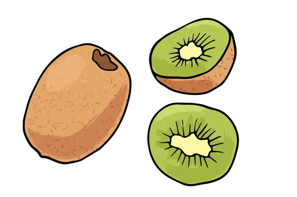 Ilustración vectorial de jugoso esquema aislado fruta colorida — Archivo Imágenes Vectoriales