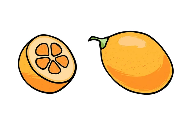 Ilustración vectorial de jugoso esquema aislado fruta colorida — Archivo Imágenes Vectoriales