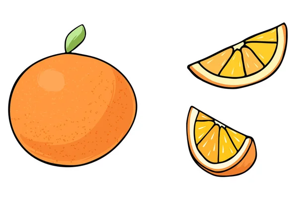 Frukt mandarin, apelsin. — Stock vektor