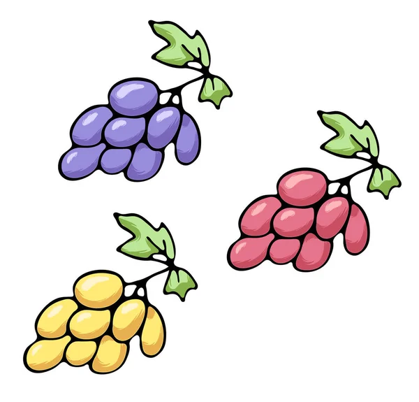 Ilustración vectorial de jugoso esquema aislado fruta colorida — Archivo Imágenes Vectoriales