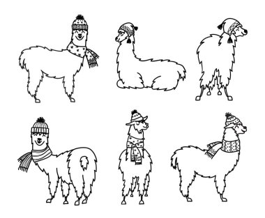 Vektör çizim. Sevimli karakter lama