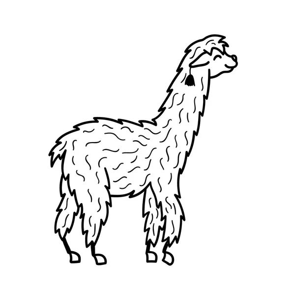 Ilustración vectorial. Lindo personaje lama — Vector de stock
