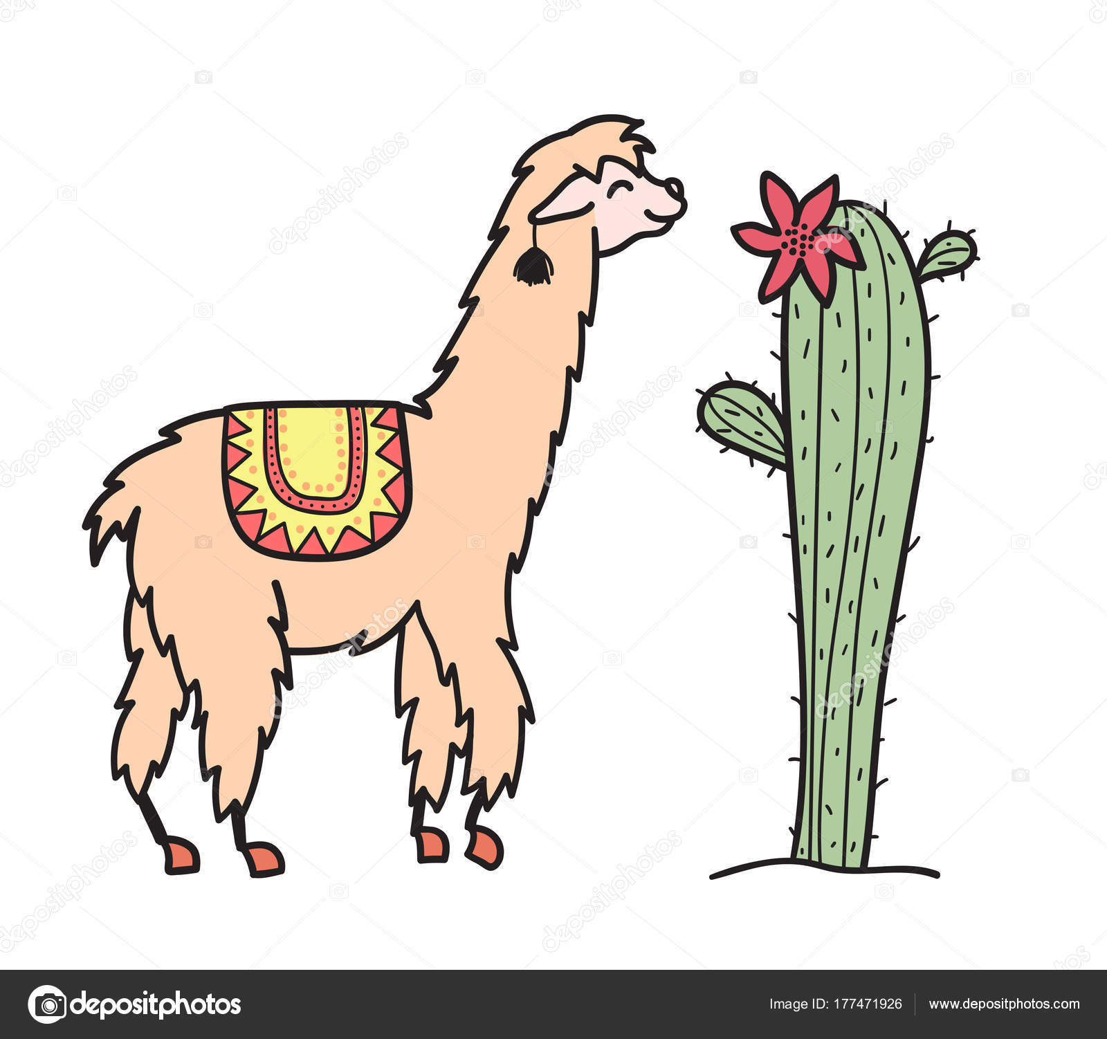 1 784 Baby Llama Images Free Royalty Free Stock Baby Llama Photos Pictures Depositphotos