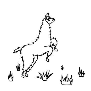 Vektör çizim. Sevimli karakter lama