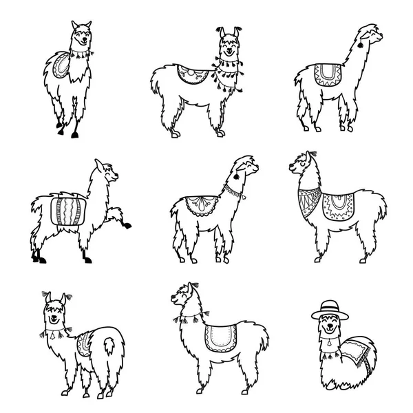 Illustration vectorielle. Mignon personnage lama — Image vectorielle