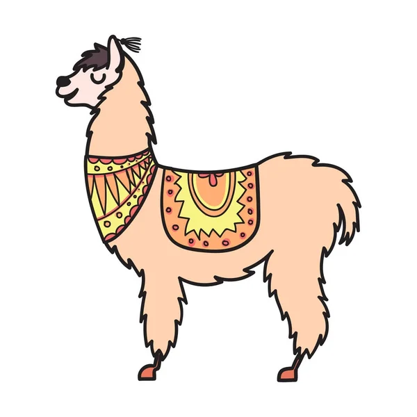 Vector, contorno aislado dibujos animados bebé llama . — Vector de stock