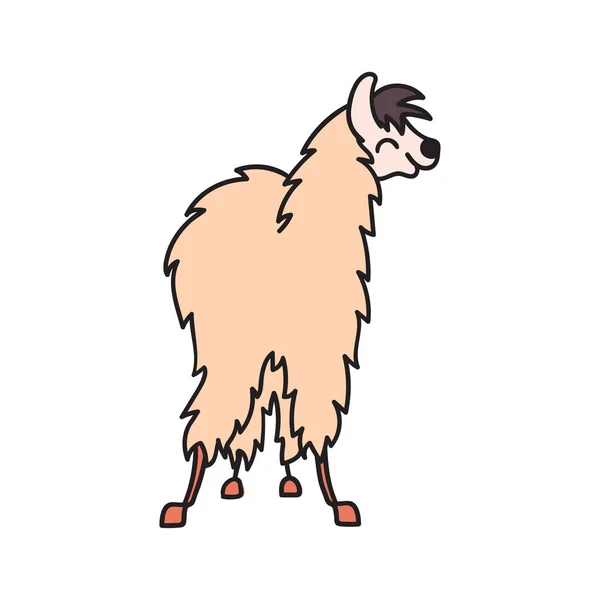 Hand drawn Peru animal, alpaca, vicuna. — Stock Vector
