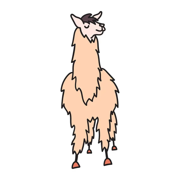 Perù disegnato a mano animale, alpaca, vicuna . — Vettoriale Stock