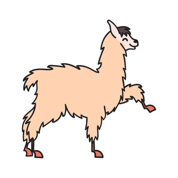 Perù disegnato a mano animale, alpaca, vicuna . — Vettoriale Stock