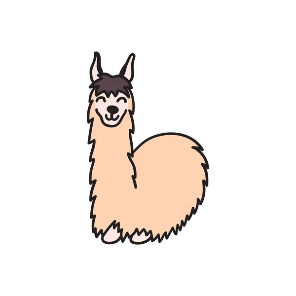 Hand getekend Peru dier, alpaca, Vicuña. — Stockvector