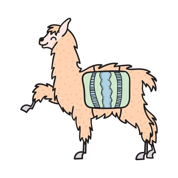 Perù disegnato a mano animale, alpaca, vicuna . — Vettoriale Stock