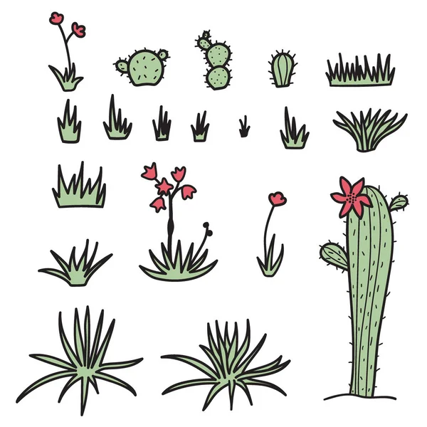 Vector uppsättning växter - blommor och cactus — Stock vektor