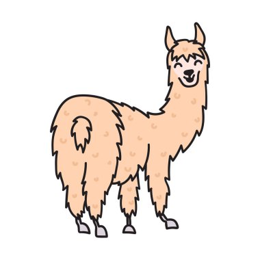 Şirin lama vektör çizim