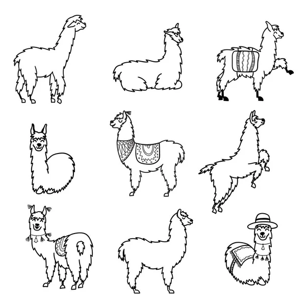 Vectorillustratie. Schattig karakter lama — Stockvector