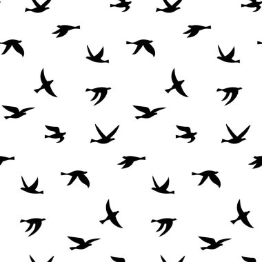 Kuşların vektörsüz deseni