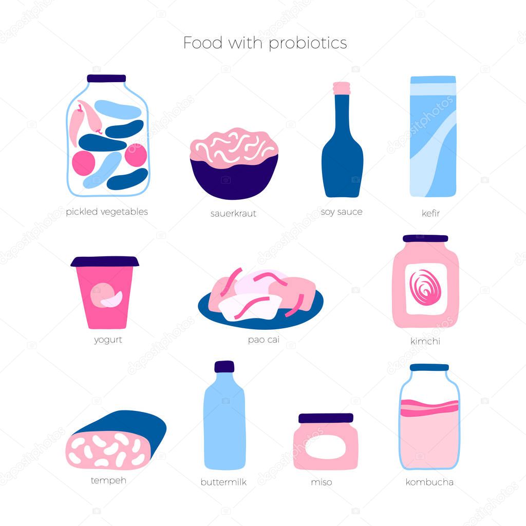 Vector isolated illustration of probiotic food