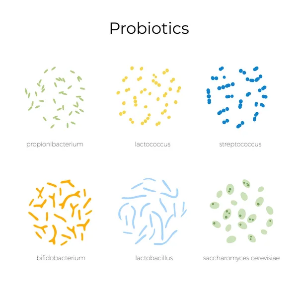 Ilustración aislada vectorial de probióticos — Vector de stock