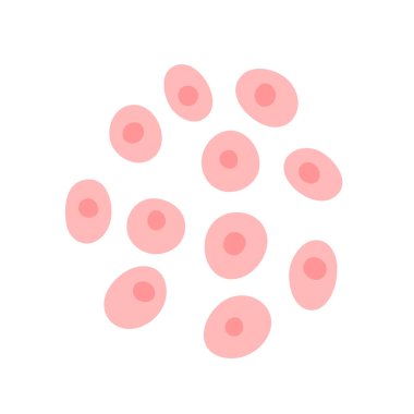 Hücre yapısının vektör izole çizimi