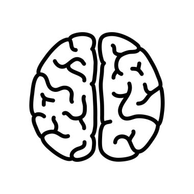 Vektör çizim insan beyin anatomisi 