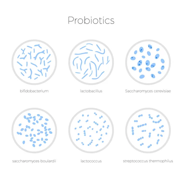 Ilustración aislada vectorial de probióticos — Vector de stock