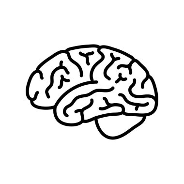 Vector illustration of human brain anatomy  clipart