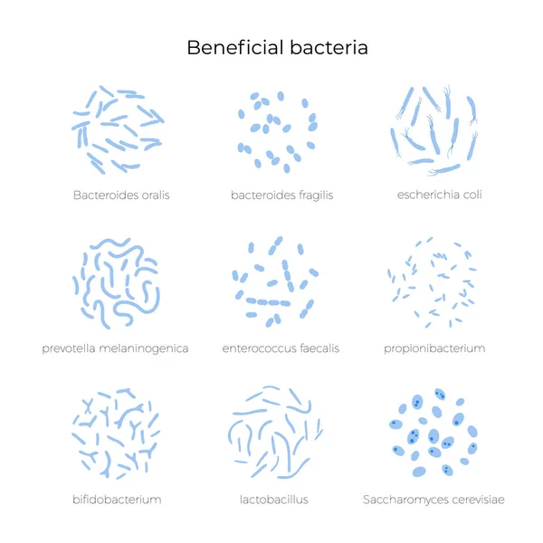 Vektorieristetty probioottikuva — vektorikuva