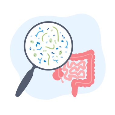 Probiyotiklerin izole edilmiş temsilcisi 