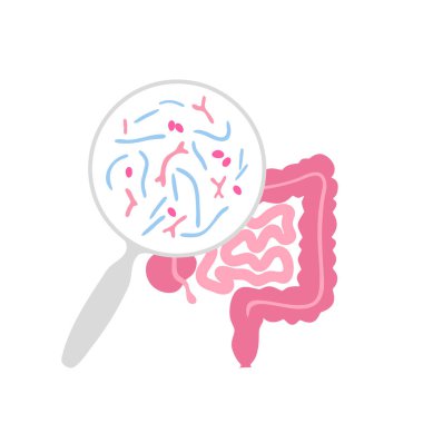 Probiyotiklerin izole edilmiş temsilcisi 