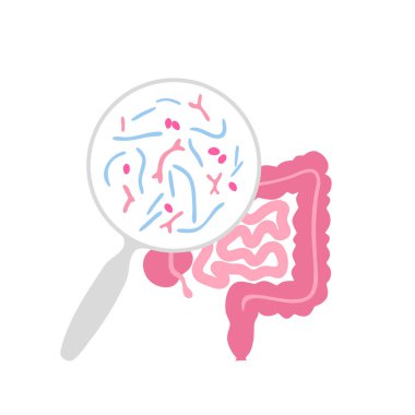 Vector isolated illustration of probiotics  clipart