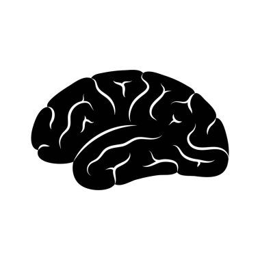 Vektör çizim insan beyin anatomisi 