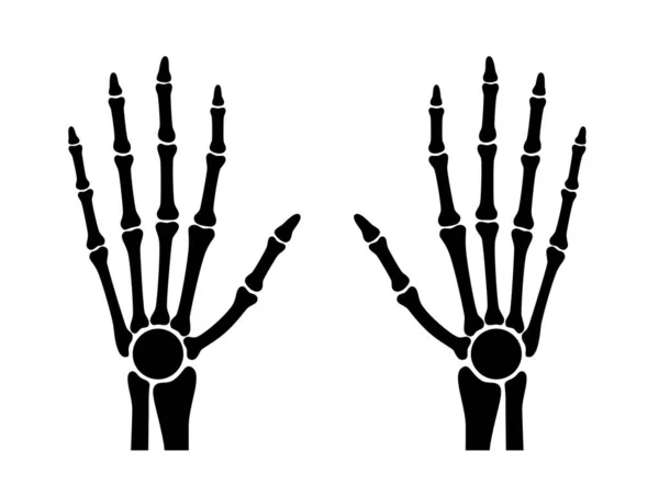 Анатомия рук человека . — стоковый вектор