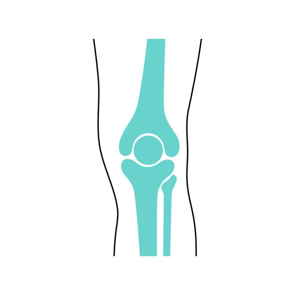 Kniegewricht en meniscus anatomie — Stockvector