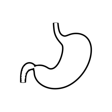 Mide izole edilmiş vektör illüstrasyonu