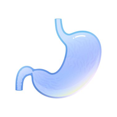 Mide izole edilmiş vektör illüstrasyonu