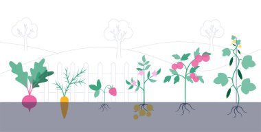 Bahçe işleri konsepti