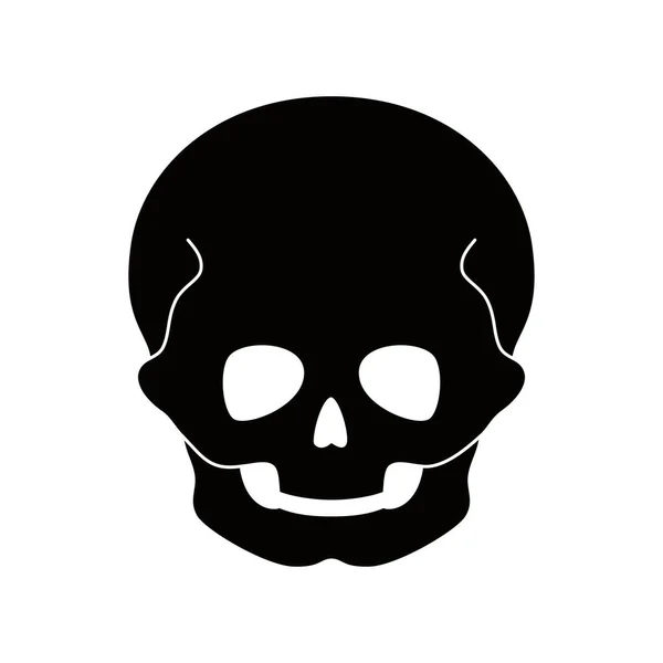 Human child skull — Stock Vector