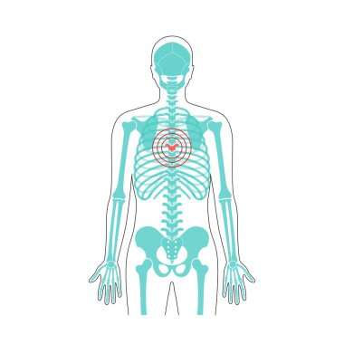 İnsan omurgası acı vektörü çizimi
