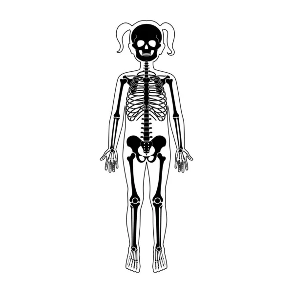Criança menina anatomia esqueleto — Vetor de Stock