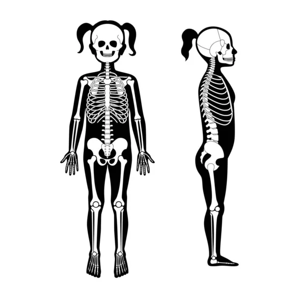 Niño niña esqueleto anatomía — Vector de stock