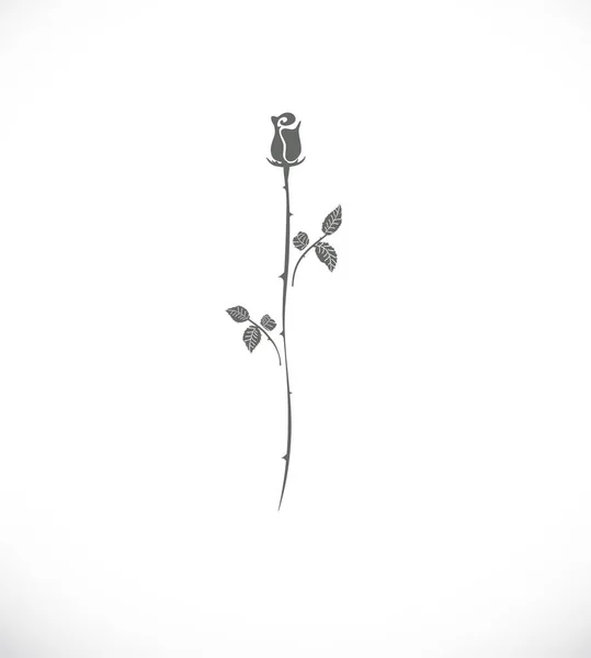 Elegantie steeg silhouet. lange roos in het boeket. mooie bloem. boeket op feestdagen en romantische datum. roos pictogram — Stockvector