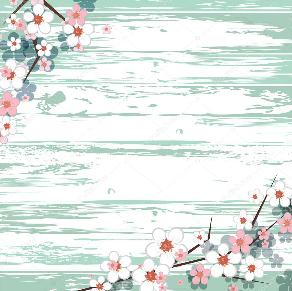hello spring frame. border for seasonal greetings. light wooden background. soft spring flowers. pink and white blossom. vector spring frame for text