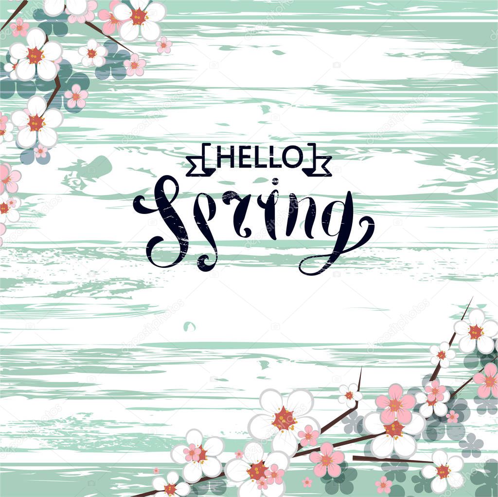 hello spring text. hand drawn seasonal greetings. light wooden background. soft spring flowers. pink and white blossom. vector spring frame for text