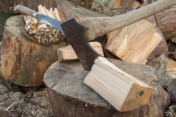 Hacha de trozos de leña — Foto de Stock